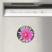 F12 Ball Cactus Flower "Escobaria vivipara" Magneet (Insitu (Vaatwasser))