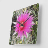 F12 Ball Cactus Flower "Escobaria vivipara" Vierkante Klok (Hoek)