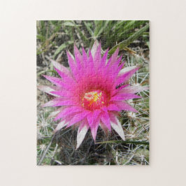 F12 Kogelcactus bloem "Escobaria vivipara" Legpuzzel