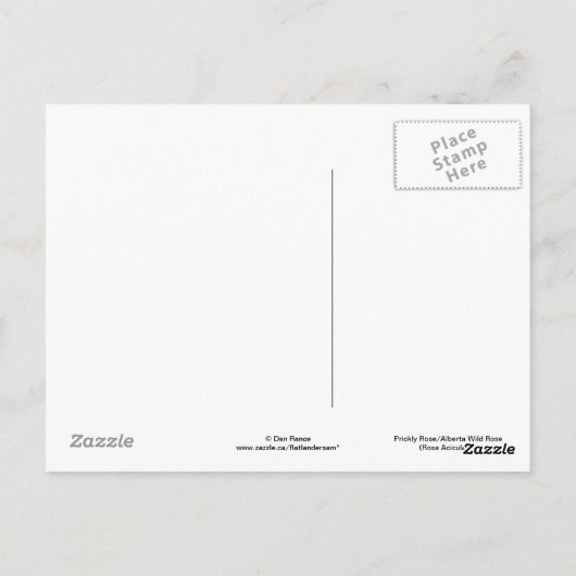 F13 Alberta Wilde Roos Prickly Roos Briefkaart (Achterkant)