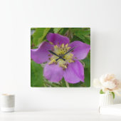 F13 Alberta Wilde Roos Prickly Roos Vierkante Klok (Huis)