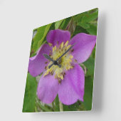 F13 Alberta Wilde Roos Prickly Roos Vierkante Klok (Hoek)