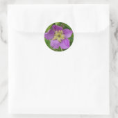F13 Prickly Roos Alberta Wilde Roos Ronde Sticker (Tas)