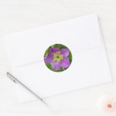 F13 Prickly Roos Alberta Wilde Roos Ronde Sticker (Envelop)