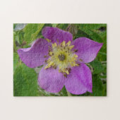 F13 Stekelige Roos Alberta Wilde Roos Legpuzzel (Horizontaal)