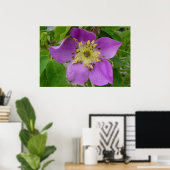 F13 Stekelige Roos Alberta Wilde Roos Poster (Thuiskantoor)