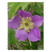 F13 Wilde Roos Alberta Wilde Roos Notitieboek (Voorkant)