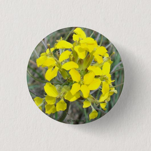 F14 Gele wilde bloemen Ronde Button 3,2 Cm (Voorkant)