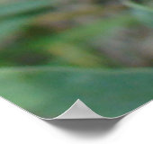 F14 Kleine gele wilde bloemen Poster (Hoek)