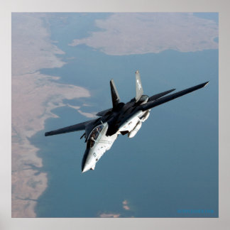 F14 van de Jolly Rodgers Poster