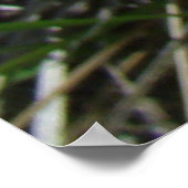 F15 Gele wilde bloemen neezeweed Poster (Hoek)