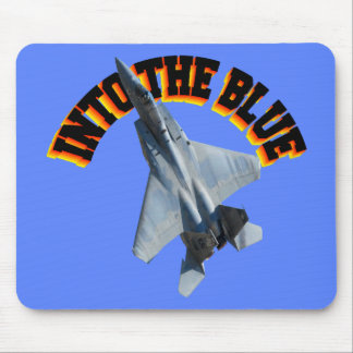 F15 IN DE BLAUW MUISMAT