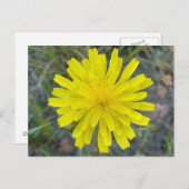 F16 Gele Wilde Bloem King Devil Briefkaart (Voorkant / Achterkant)