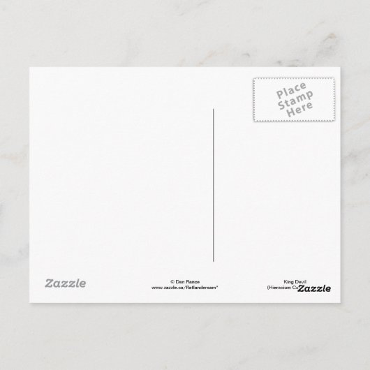 F16 Gele Wilde Bloem King Devil Briefkaart (Achterkant)