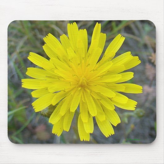 F16 Gele Wilde Bloem King Devil Muismat (Voorkant)