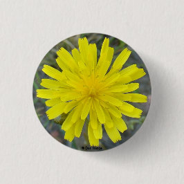 F16 Gele Wilde Bloem King Devil Ronde Button 3,2 Cm
