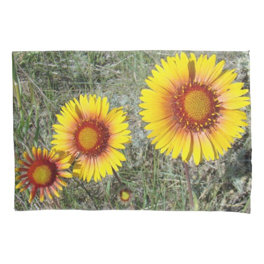 F17 Gele Wilde Bloemen Gaillardia Kussensloop (Voorkant)