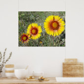 F17 Gele wilde bloemen Gaillardia Poster (Keuken)