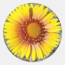 F17a Gele wilde bloemen Gaillardia Ronde Sticker
