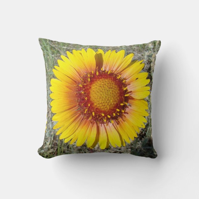 F17b Gele Wilde Bloem Gaillardia Kussen (Voorkant)