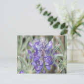 F18 Paarse wilde bloemen Briefkaart (Staand voorkant)