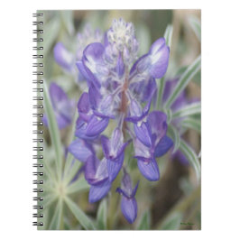 F18 Paarse Wilde Bloemen Eenjarige Lupine Notitieboek
