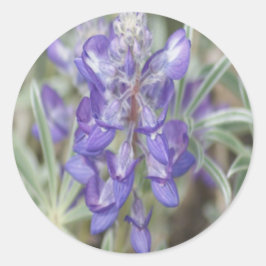F18 Paarse Wilde Bloemen Eenjarige Lupine Ronde Sticker