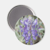 F18 Paarse wilde bloemen Magneet (Voorkant / Achterkant)