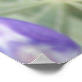 F18 Paarse wilde bloemen Poster (Hoek)