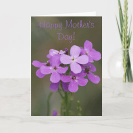 F19 Paars Wildbloemen Dames Rocket Kaart