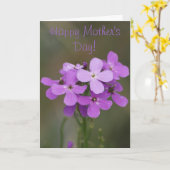 F19 Paars Wildbloemen Dames Rocket Kaart (Gele Bloem)