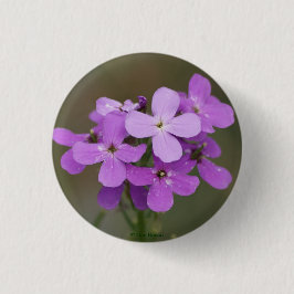 F19 Paarse Wildbloemen Dames Rocket Ronde Button 3,2 Cm