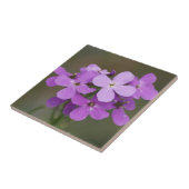 F19 Paarse Wildbloemen Dames Rocket Tegeltje (Zijkant)