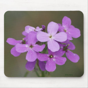 F19 Paarse Wilde Bloemen Dames Raket Muismat
