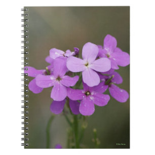 F19 Paarse Wilde Bloemen Dames Raket Notitieboek
