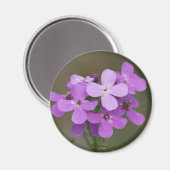 F19 Paarse Wilde Bloemen Damesraket Magneet (Voorkant / Achterkant)