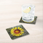 F1 Gele wilde bloem (Gaillardia aristata) Kartonnen Onderzetters (Insitu)