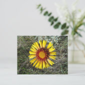 F1 Gele wilde bloem Gaillardia Briefkaart (Staand voorkant)