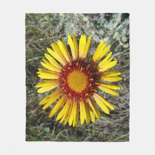 F1 Gele Wilde Bloem Gaillardia Fleece Deken (Voorkant)