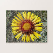 F1 Gele Wilde Bloem Gaillardia Legpuzzel (Horizontaal)