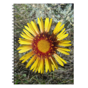 F1 Gele Wilde Bloem Gaillardia Notitieboek
