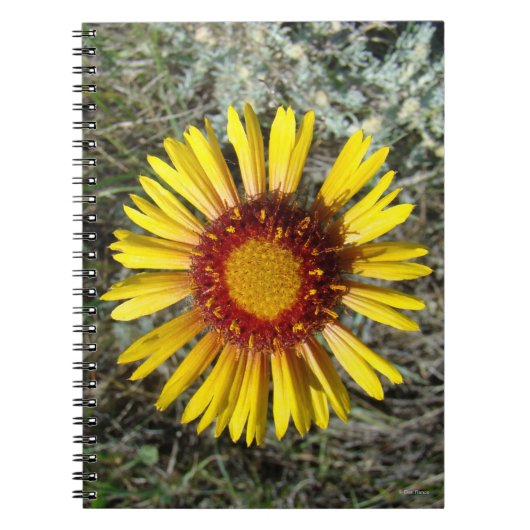 F1 Gele Wilde Bloem Gaillardia Notitieboek (Voorkant)