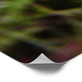 F21 Gele wilde bloem met een pijlstoot Poster (Hoek)