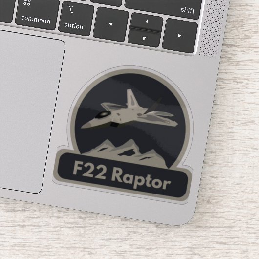 F22 Raptor Jet Fighter Sticker (Detail)