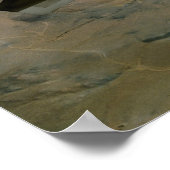 F22 Raptor Poster (Hoek)