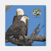 F23 & M15 - Een nieuw tijdperk in het Nest Magneet (Voorkant)