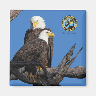 F23 & M15 - Een nieuw tijdperk in het Nest Magneet