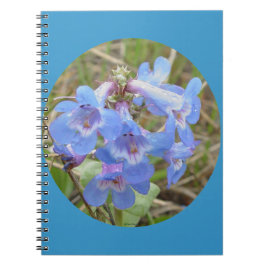 F28 Blauwe Wilde Bloemen Slanke Blauwe Baard Tongu Notitieboek