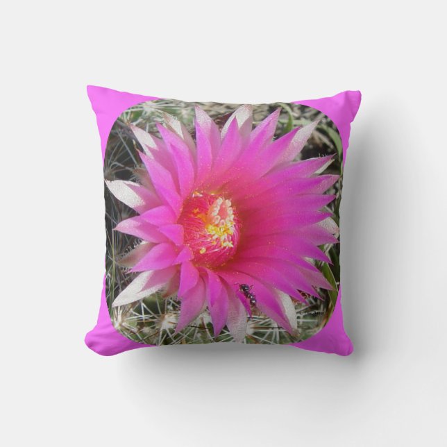 F29w Ball Cactus Flower "Escobaria vivipara" Kussen (Voorkant)