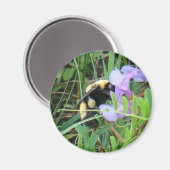 F2 Bij op paarse wilde bloem Magneet (Voorkant / Achterkant)
